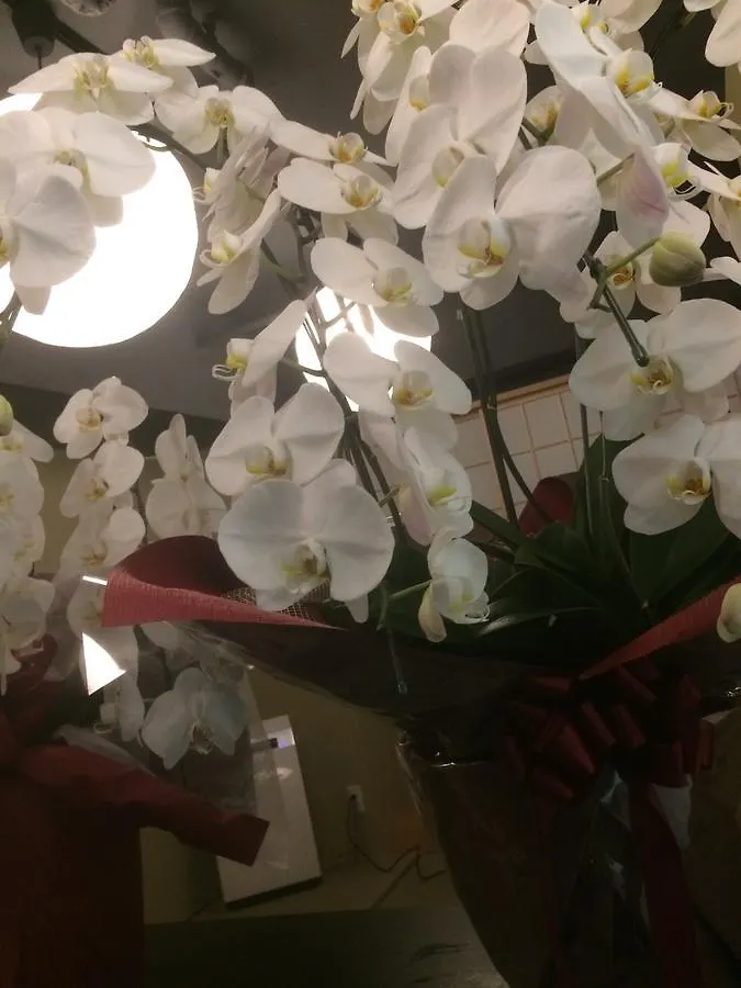 Bnbplus Shinjuku Yotsuya Tokio Hostal